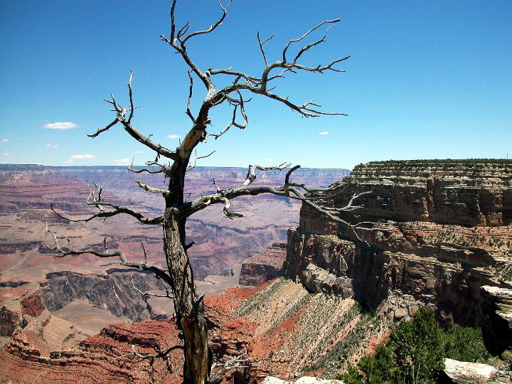 Sehenswürdigkeiten in der USA - Grand Canyon Nationalpark im Bundesstaat Kalifornien
