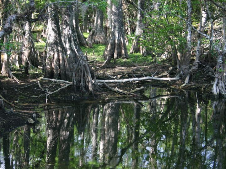 Sehenswürdigkeiten in USA - Everglades Nationalpark im Bundesstaat Florida