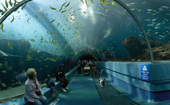 Sehenswürdigkeiten in der USA - The Ocean Voyager exhibit tunnel im Atlanta Aquarium.