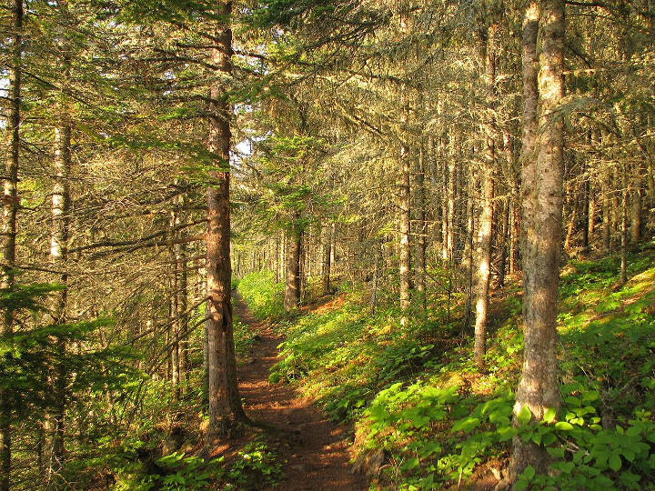 Sehenswürdigkeiten in der USA - Tobin Trail — at Isle Royale National Park.
