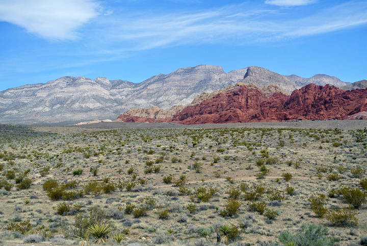 Sehenswürdigkeiten in der USA -  Red Rock Canyon National Conservation Area, southern Nevada.