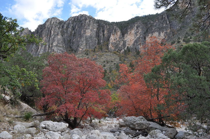Sehenswürdigkeiten in der USA - Pine Spring Canyon Fall im Guadalupe Mountains Nationalpark in Texas.