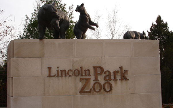 Lincoln Park Zoo in Licoln Park in Illinois - Sehenswürdigkeiten USA