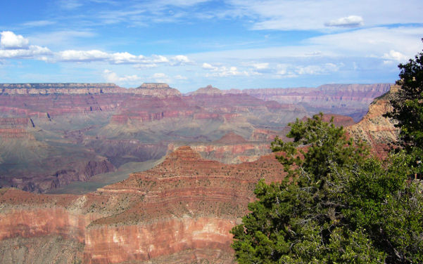Grand Canyon National Park mit dem Colorado River - Sehenswürdigkeiten USA