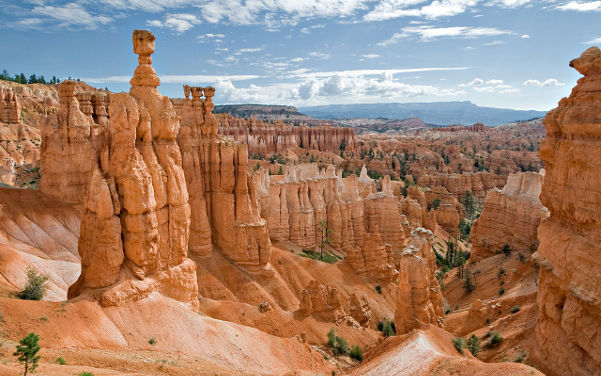 Bryce Canyon mit atemberaubenden Gesteinsformationen - Hoodoos - Sehenswürdigkeiten USA