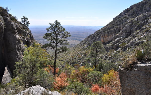 Guadalupe National Park in den Guadalupe Mountains in Texas - Sehenswürdigkeiten USA